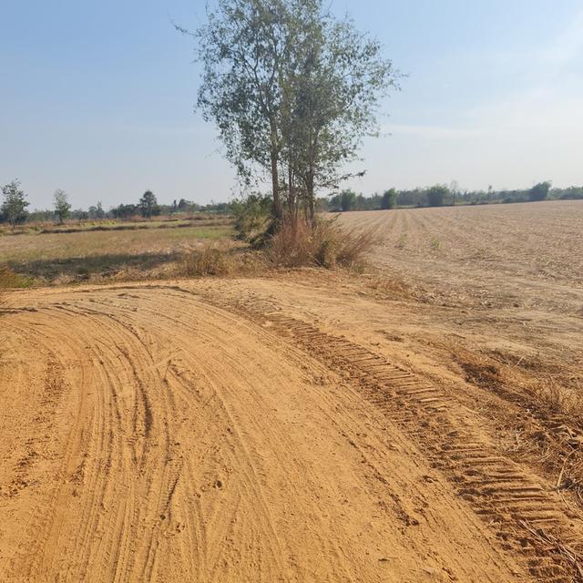 ขายที่ดิน 45 ไร่ พื้นที่เขตเศรษฐกิจพิเศษสระแก้ว 2