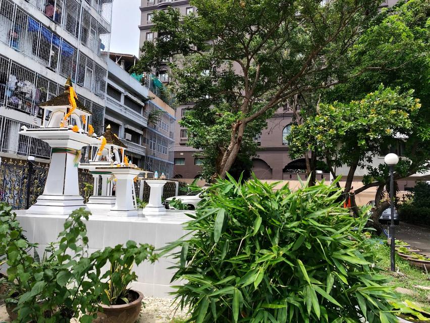 ขายที่ดินแปลงศักยภาพสูง สุขุมวิท 101  BTS ปุณณวิถี Land and old  house  for sale in a prime 8