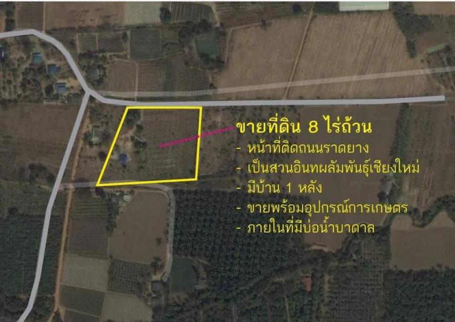 รูป ขาย ที่ดิน ขายที่ดิน มีบ้าน 1 หลัง 2 ห้องนอน 2 ห้องน้ำสุขภัณฑ์อย่างดี - 8 ไร่