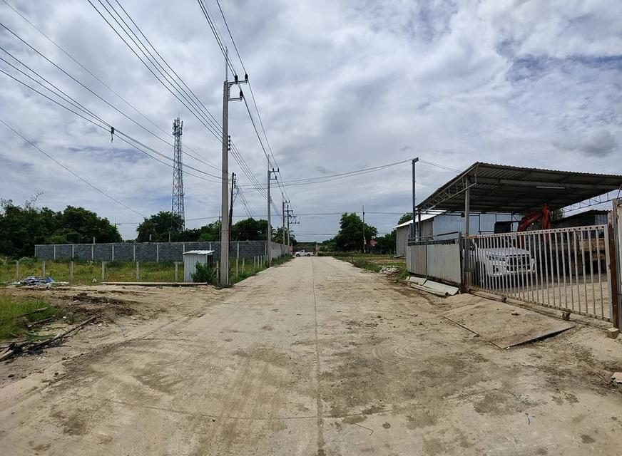 ขายที่ดิน+โกดัง 5