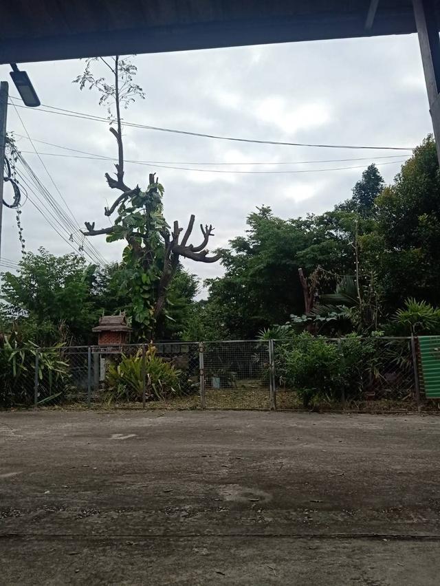 ที่ดินพร้อมอาคาร ห้องแถว โกดังเก็บของ 13