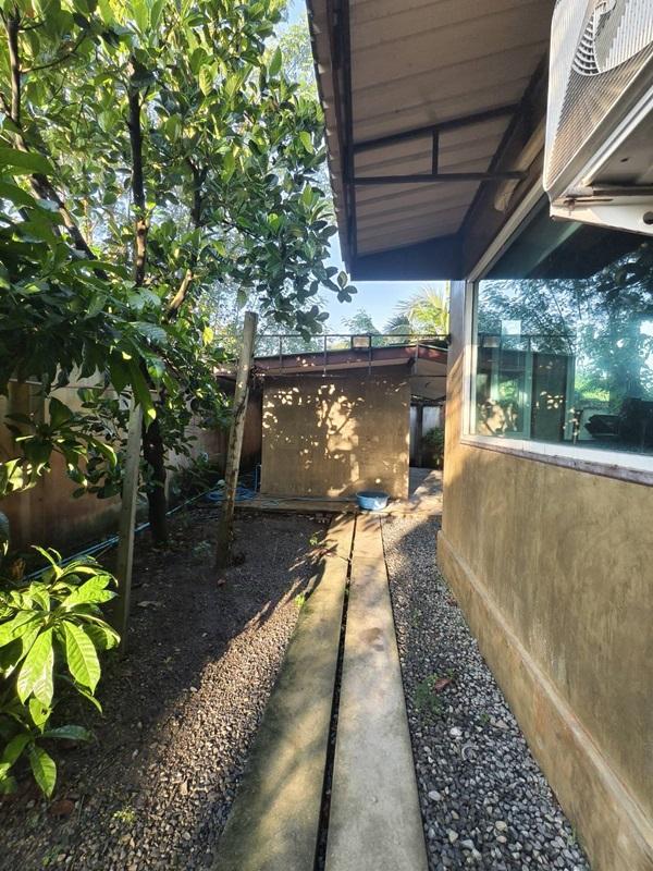 ขายบ้านสวน พร้อมที่ดิน รวม 3 ไร่ บึงกาสาม อ.หนองเสือ จ.ปทุมธานี น้ำไม่ท่วม เจ้าของขายเอง โทร.086-7777215 9