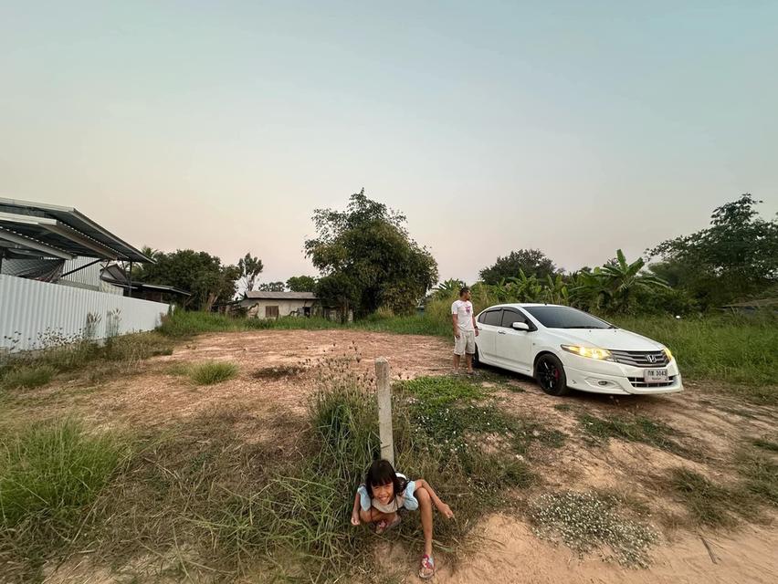 ที่ดินในเขตเทศบาลวัดโบสถ์ อำเภอวัดโบสถ์ จังหวัดพิษณุโลก 9