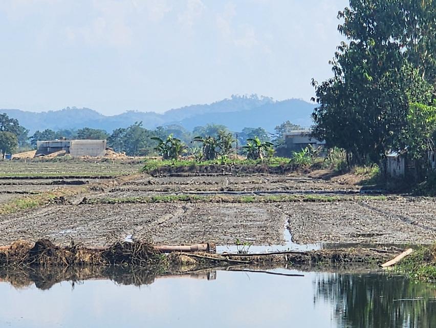 ขายที่ดิน ที่นาพร้อมบ่อปลา หมู่ 3 ต.เวียงเหนือ อ.เวียงชัย จ.เชียงราย ขนาด 2ไร่ 3 งาน 28 ตรว.มีทางเข้าออก สาธารณะ +ไฟฟา/น้ำปะปา เข้าถึง ราคา 9 แสนบาท ส 5