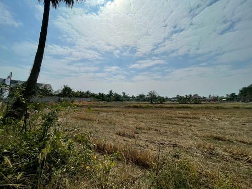 ขายที่ดิน 3 งาน 78.0 ตรว. ต.ขามทะเลสอ อ.ขามทะเลสอ จ.นครราชสีมา 9