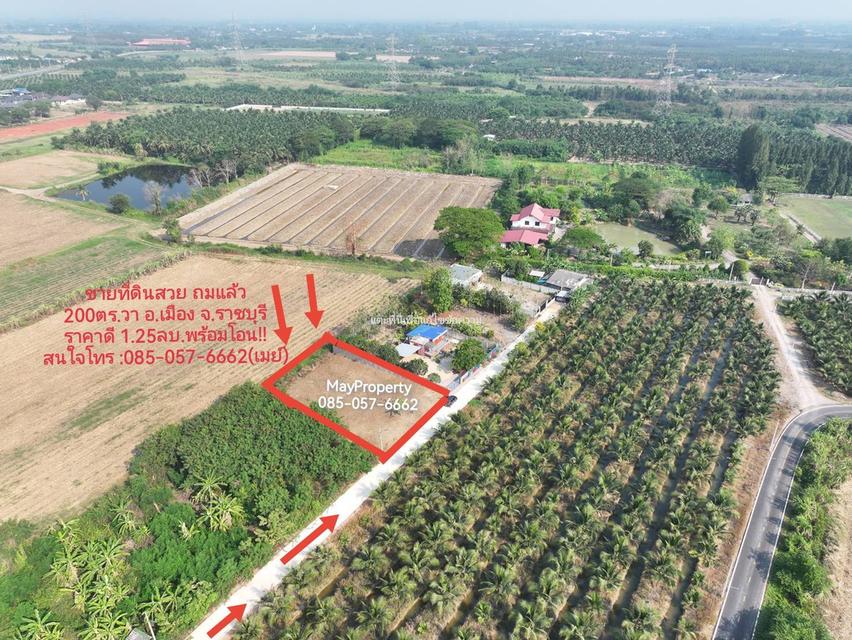 🔥 ขายด่วน! ที่ดินสวย ราชบุรี 💰 เพียง 1.25 ล้าน (พร้อมโอน) 📍 ต.ท่าราบ เมืองราชบุรี 🌿 วิวทุ่ง ลมเย็น เงียบสงบ 🚗 จากกรุงเทพฯ แค่ 2 ชม. ✅ ถนนหน้าที่ 2