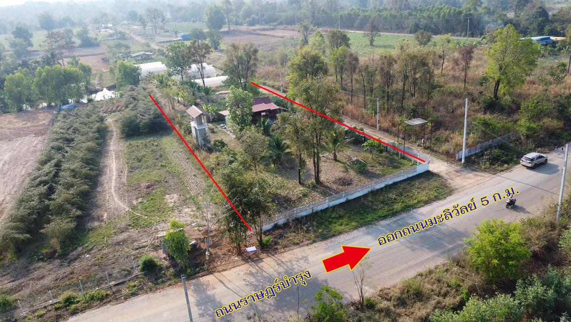 บ้านสวนเรือนไทยเนื้อที่ 2 ไร่ 2