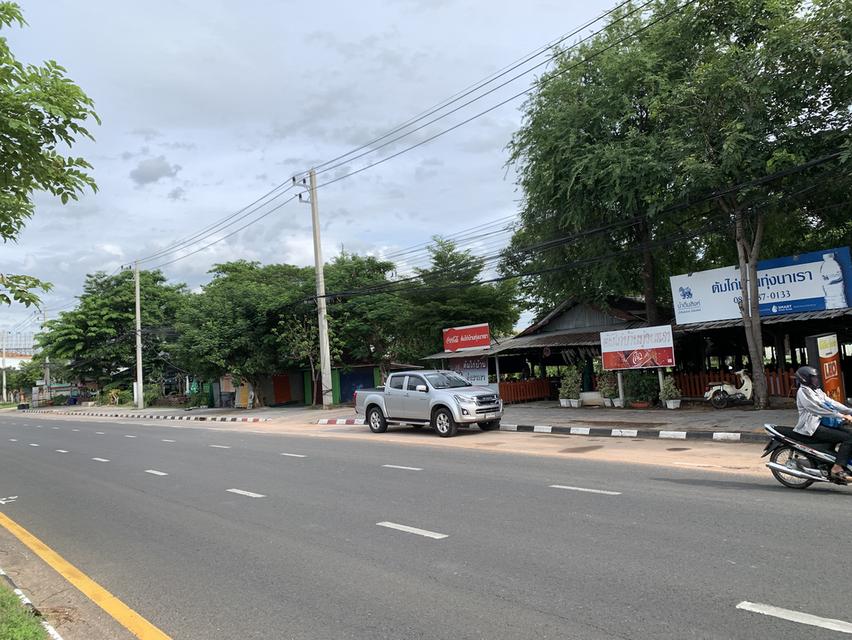 ขายที่ดินติดถนนใหญ่ มหาสารคาม 2