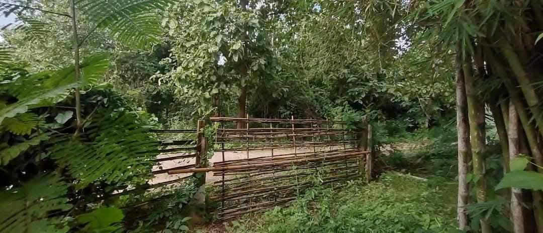 ที่โฉนด ขนาด110มีตรว ราคา280,000ห่าง7-11เพียง1โล  ไฟฟ้าถึงหน้ากว้างติดถนนคอนกรีต17เมตร ด้านในมีต้นไผ่ ขนุน,น้อยหน่า,มะม่วง,กล้วย ต้นสัก,ตะไคร้ 17