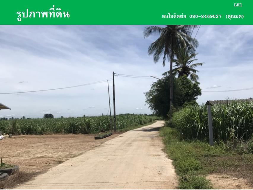 ขายที่ดินหนองลานพระแท่น(น้ำไม่ท่วม) 9