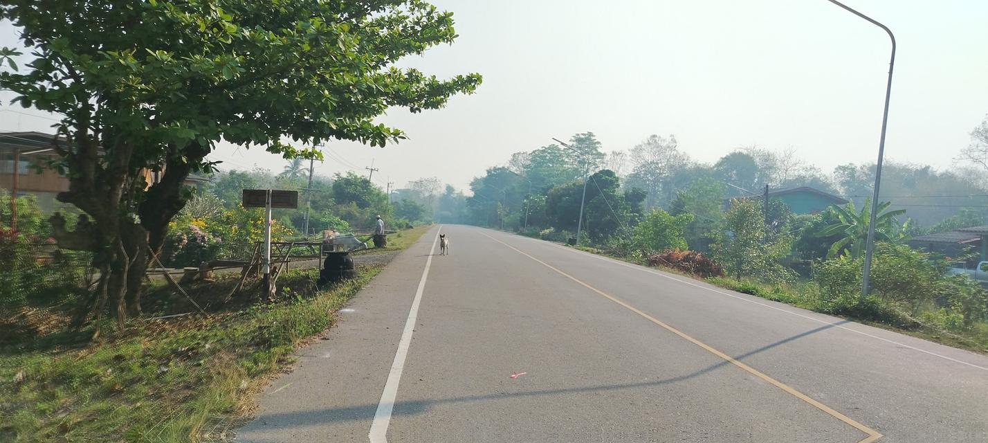 ที่โฉนดวิวเขา ห่าง อบต 1กิโล ที่หน้ากว้างติดถนน80เมตรวิวสวยมากใกล้ชุมชน 18