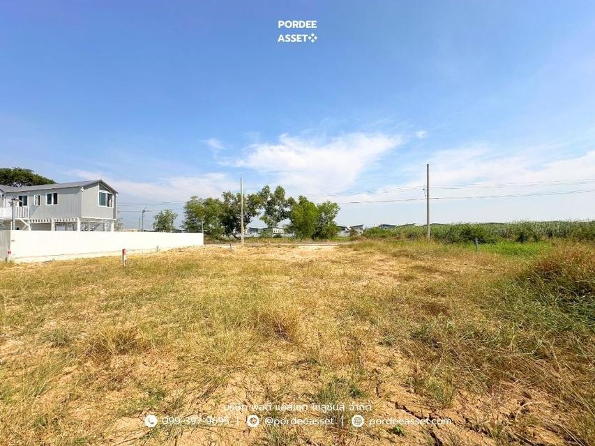 ที่ดินถมแล้ว 60 ตร.ว. แปลงสวยติดถนน น้ำไฟพร้อม ใกล้บิ๊กซีไทรน้อย ซื้อไว้ลงทุน/ปลูกบ้าน/สร้างบ้านขาย กำไรตั้งแต่ซื้อ คลองขวาง, ไทรน้อย, นนทบุรี 8