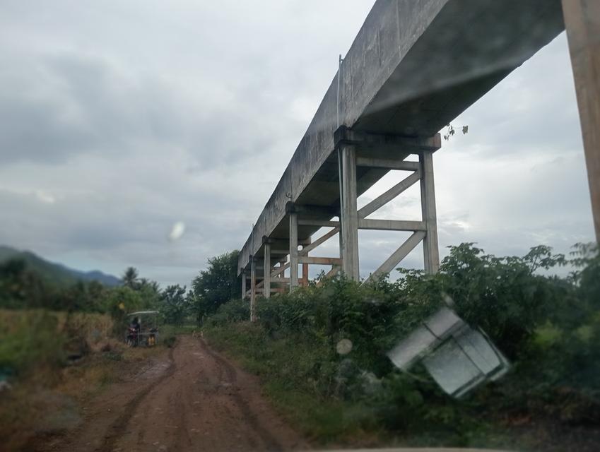 ที่ดินพร้อมต้นสักอายุ15ปี รูปย่อยที่ 3
