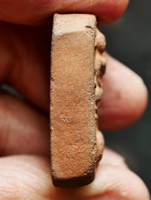 พระหลวงพ่อปาน วัดบางนมโค พิมพ์ขี่ปลากัด...เก่าๆ 10