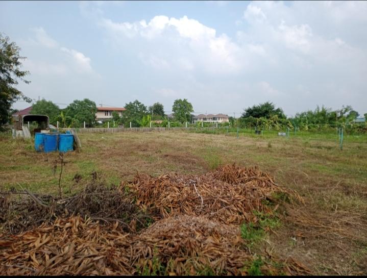 ขายที่สวยถมสูงใกล้รร.ดอนบอสโกหัวโป่ง บ้านโป่ง ราชบุรี 2