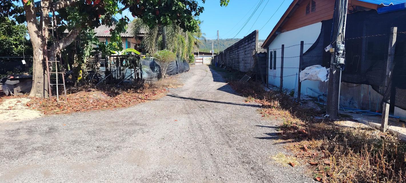 ที่ดินพร้อมบ้านอำเภอเมืองปราจีนบุรี 5