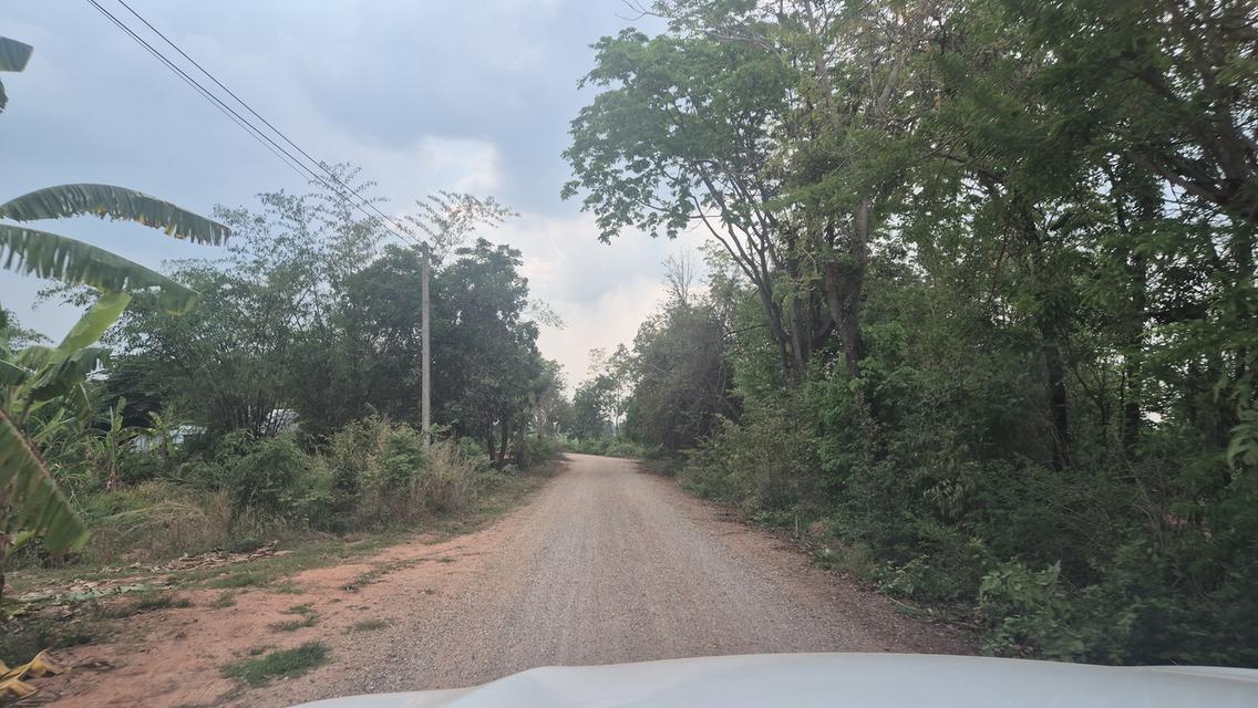 ขายที่ดิน 83 ไร่ ไร่ละ150,000 บาทต.พังเทียม อ.พระทองคำ จ.นครราชสีมา ที่ดินแปลงใหญ่ ทำเลดี เหมาะทำเกษตร รีสอร์ต หรือเก็งกำไรในอนาคต ✅ สามารถแบ่งขายได้ 7