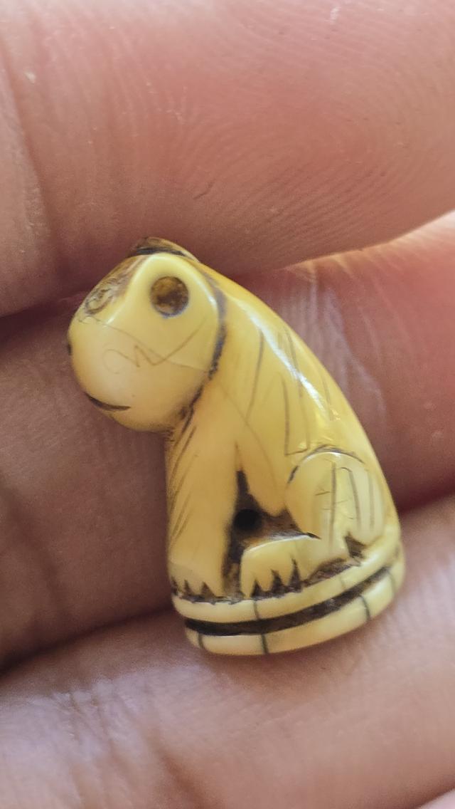 เสือแกะหลวงพ่อปาน วัดคลองด่าน 8