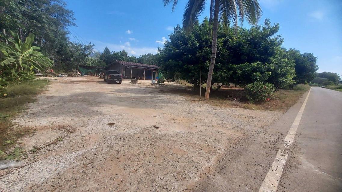 ขายถูก บ้านพร้อมที่ดินบนเนื้อ 3 ไร่ 1 งาน 71 ตรว อ. ไทรโยค กาญจนบุรี 5