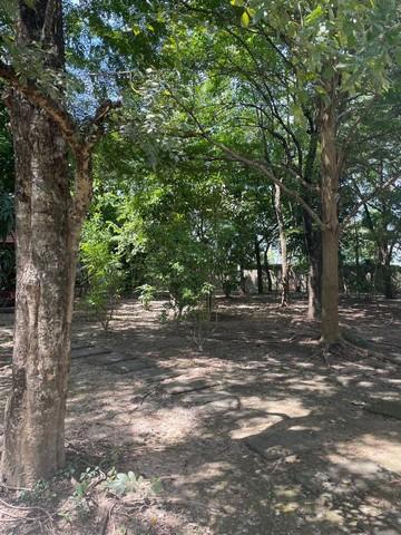 ขายที่ดินพร้อมบ้านหรูสองชั้นหลังใหญ่ ใกล้ตัวเมืองนครนายก 11