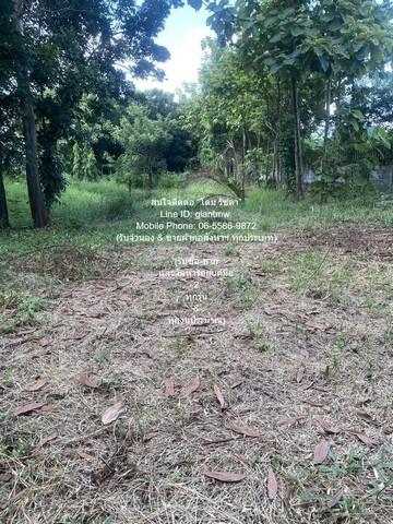 บ้าน //ถูกที่สุด//บ้าน+สำนักงาน และโกดัง บนเนื้อที่ 3-0-75 ไร่ @ถนนอยู่วิทยา หนองจอก ขนาด 75 ตร.ว. 0 งาน 3 ไร่ 3 นอน 125 6