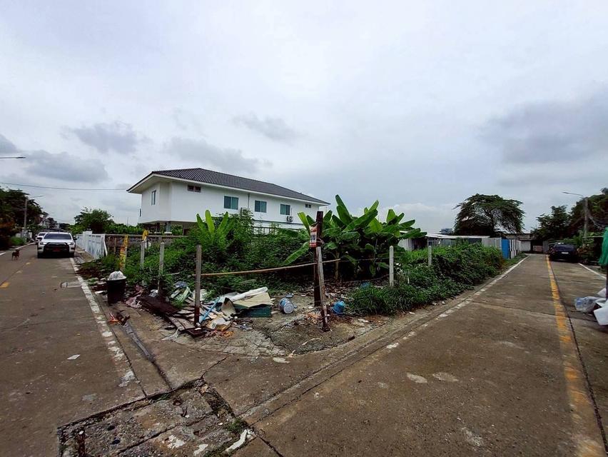 ขายถูก ที่ดินใกล้รถไฟฟ้าสายสีม่วง 103 ตารางวา แปลงมุม ติดถนนคอนกรีตสาธารณะ ซอยวัดไผ่เหลือง อ.บางบัวทอง จ.นนทบุรี