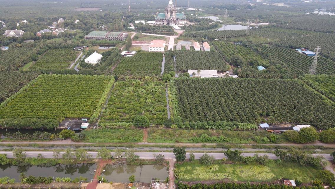 ขายที่ดินสวยเป็นที่สวน ติดหลังวัดหลวงพ่อสด ด้านหน้าติดถนนคลองชลประทาน ยาวประมาณ 600 เมตร ตำบลแพงพวย อำเภอดำเนินสะดวก จังหวัดราชบุรี ทั้งหมด 56 ไร่เศษ 4