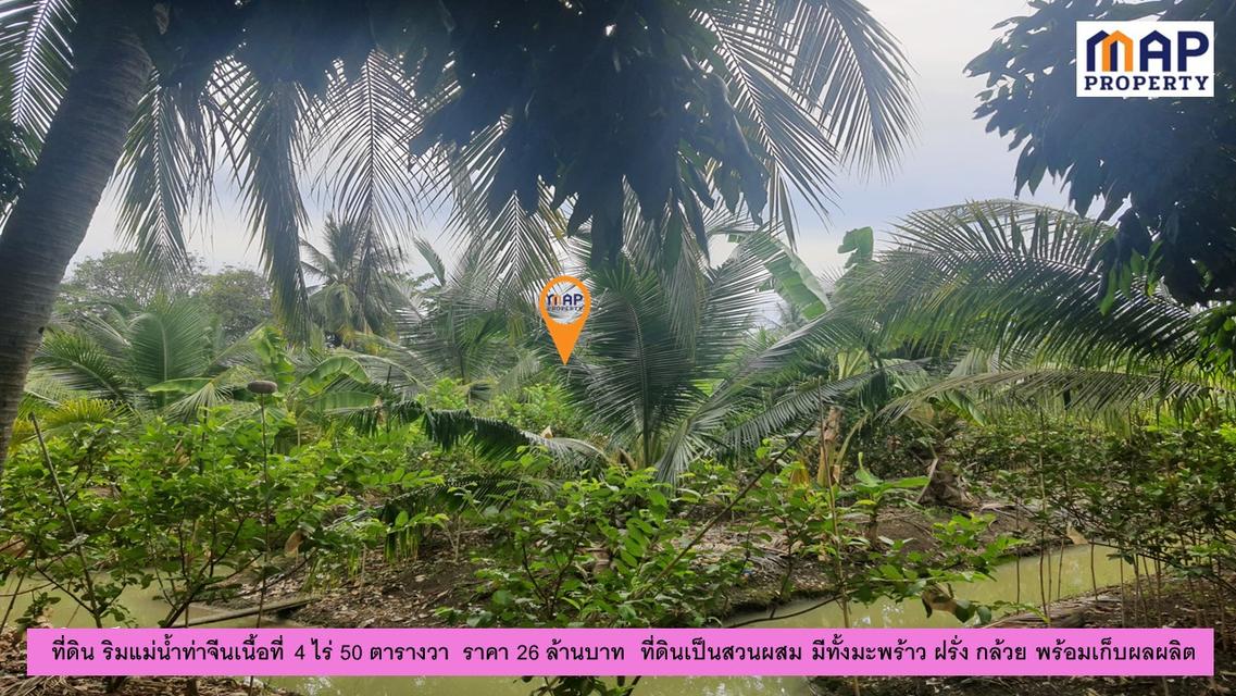 ที่ดินแปลงสวย ริมแม่น้ำท่าจีน 4 ไร่ 50 ตารางวา 4