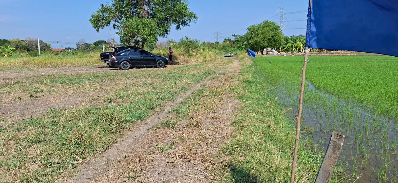 ที่ดินบางบัวทอง นนทบุรี อสังหาริมทรัพย์ 5