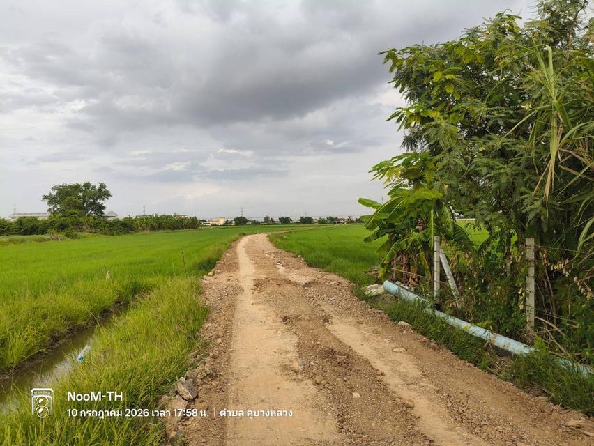 ขายที่ดินเปล่าทุ่งนาพื้นที่สีแดง2ไร่ คูบางหลวง ลาดหลุมแก้ว ปทุมธานี 2