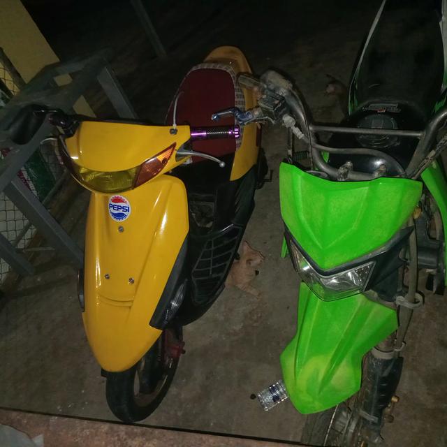 ขาย คันเหลือง รับ รับที่นครปฐม