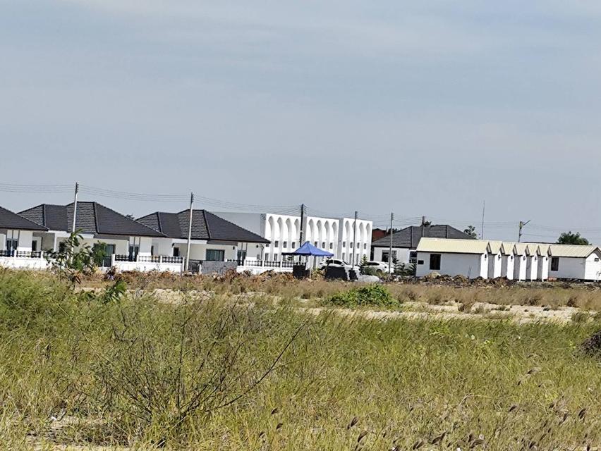 ขายที่ดินเปล่า แปลง 1-9 ไร่แปลงสวย อากาศดี มีบ่อน้ำใส แบ่งได้ ที่ใกล้หอพัก นกฮูกเก้า ม. เกษตร กำแพงแสน นครปฐม 9