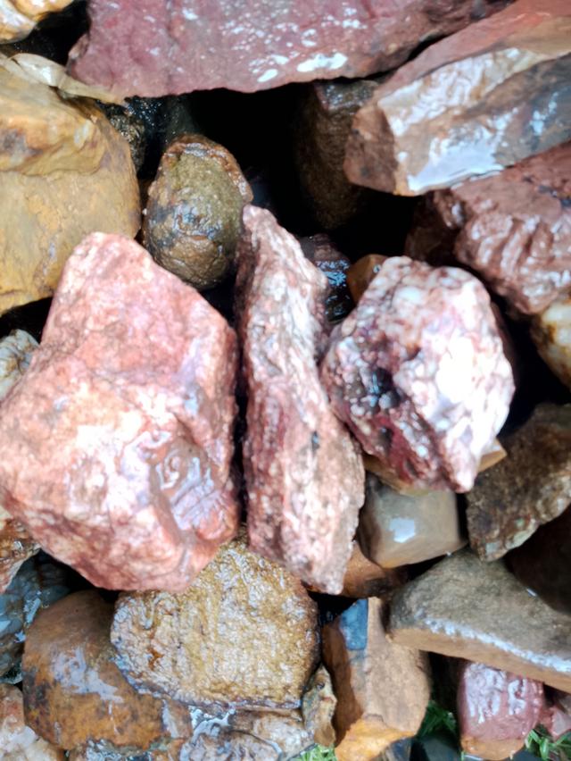 หินแร่ทองคำ อัญมนีต่างๆ รูปที่ 17