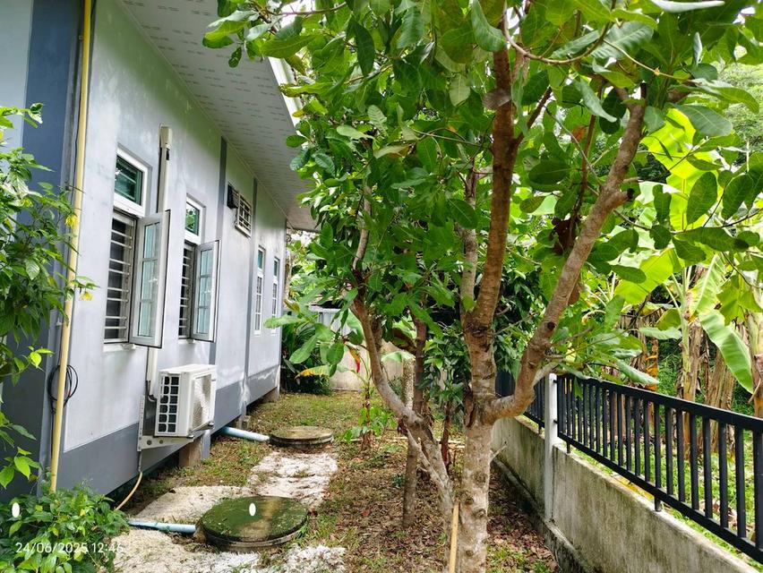 บ้านสวนในฝัน…กลางเมืองสระแก้ว 16