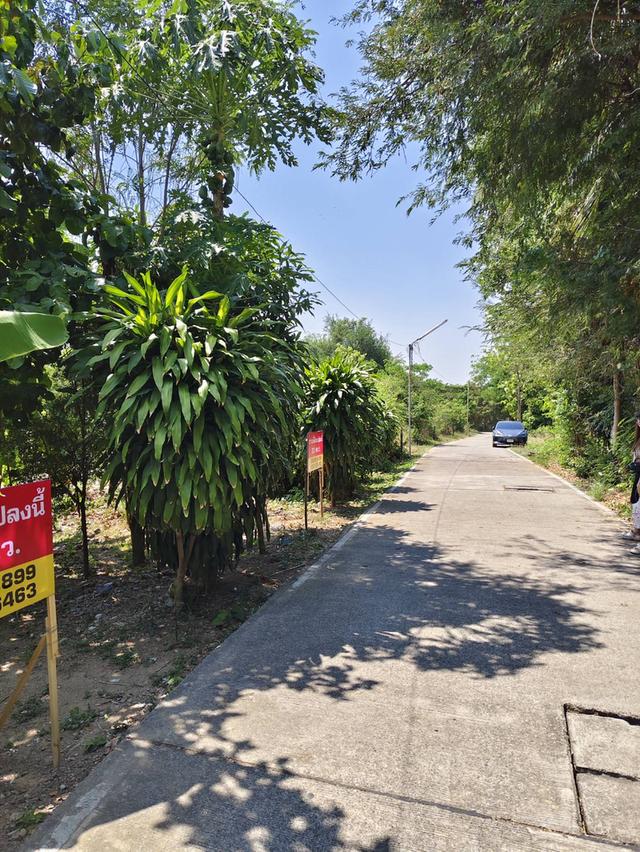 ขายที่ดินในอำเภอเมือง จังหวัดเพชรบุรี 2