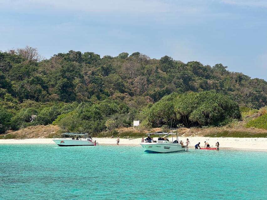 โปรแกรม SM115 ทัวร์ดำน้ำแสมสาร  One day trip ราคา 1,800 บาท รวมทุกอย่าง จาก กทม. 14