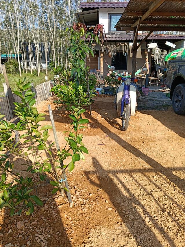 ขายบ้านสองชั้นแบบไทยๆ 6