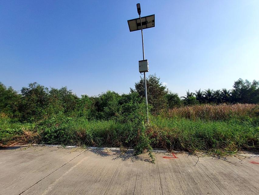 ขายด่วนที่ดินถนนฤชุพันธุ์ 568 ตรว ติดถนนคอนกรีตสาธารณะ ซ.ฤชุพันธุ์ 4 อ.ไทรน้อย จ.นนทบุรี 7