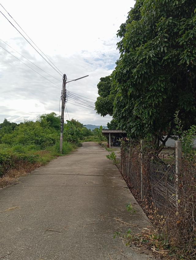 ที่ดินเปล่า 100 ตรว. 5