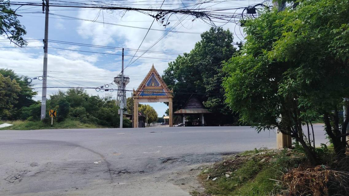 ขายที่ดิน โฉนดครุฑแดง ทำเลทองนครสวรรค์ 5