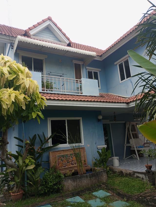 บ้านเดี่ยวหลังใหญ่  คนชอบต้นตอไม้ 6