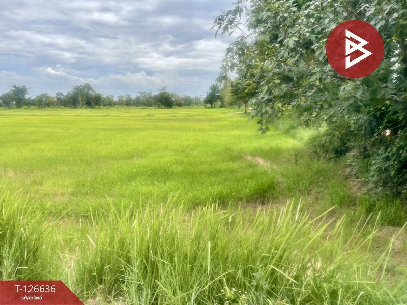 ขายที่ดิน เนื้อที่ 21 ไร่ 3 งาน 13.0 ตารางวา อำเภอเฉลิมพระเกียรติ บุรีรัมย์ 2