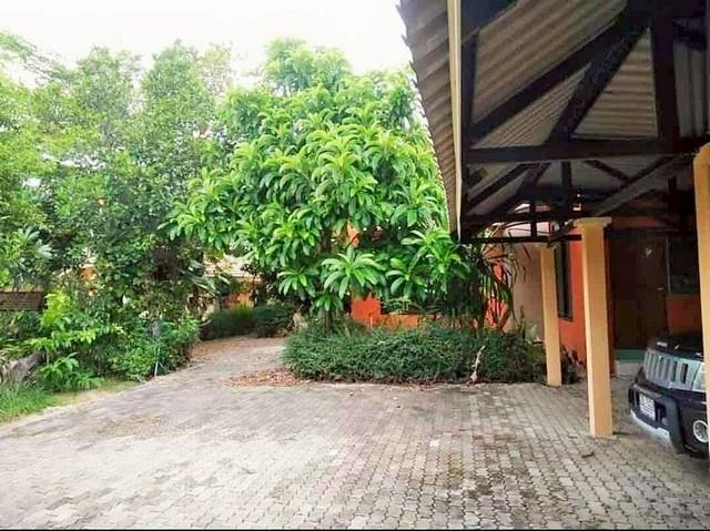 บ้านพร้อมที่ดิน บ้านสวนหลังใหญ่สไตล์รีสอร์ทสามชั้น 2-0-3 ไร่ ต.ป่าป้อง อ.ดอยสะเก็ด 8