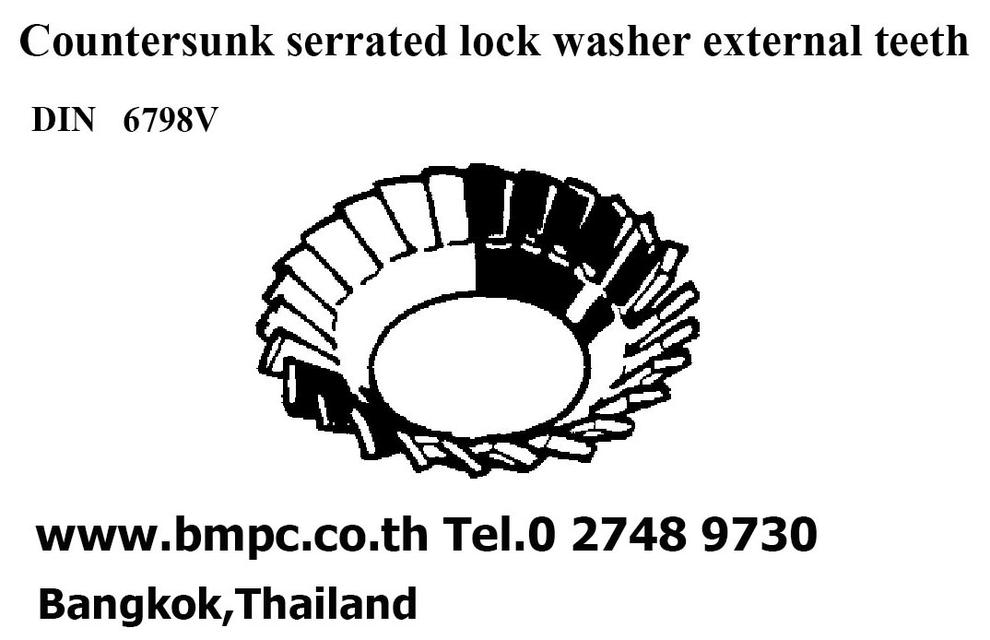 Locking Disc spring type M, Cup spring washer, แหวนจานกันคลายแบบมีลาย รูปที่ 4