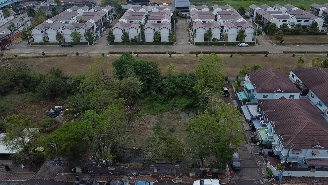 ขายที่ดิน 166 ตร.วา ถ.ไทยรามัญ คลองสามวา กรุงเทพฯ 3