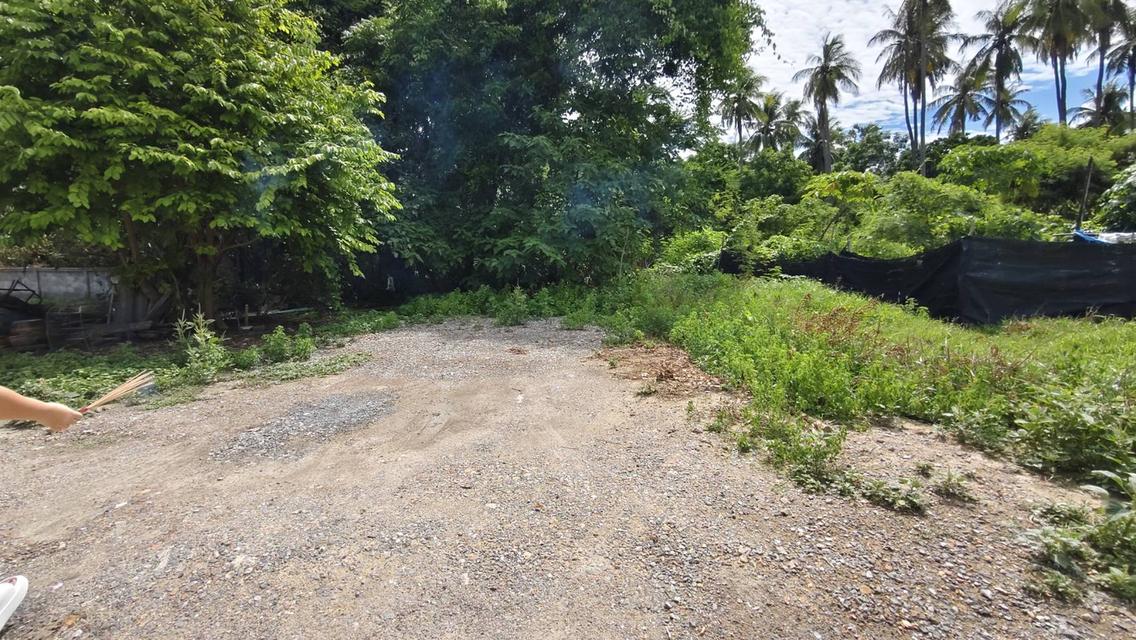 #ขายที่ดินทำเลดี #ที่ดินสวยทำเลทองใกล้ห้างสรรพสินค้า 1