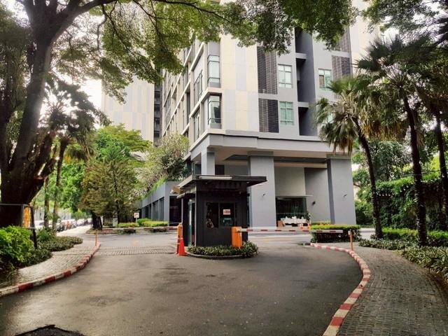 ขายหรือเช่า คอนโด Ideo Blucove Sukhumvit (ไอดีโอ บลูโคฟ สุขุมวิท) ถนนสุขุมวิท แขวงบางนา เขตบางนา กรุงเทพมหานคร 1