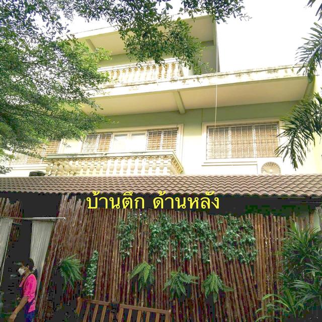 ขายบ้านเก่าสวย 2หลังติดถนนมนัส ใกล้ลานย่าโม ทำเลการค้า เหมาะพัฒนาเป็นบ้านพักส่วนตัวในทำเลเกาะเมือง หรือเป็นร้านอาหาร,คลีนิค, โรงแรม,สำนักงาน 6