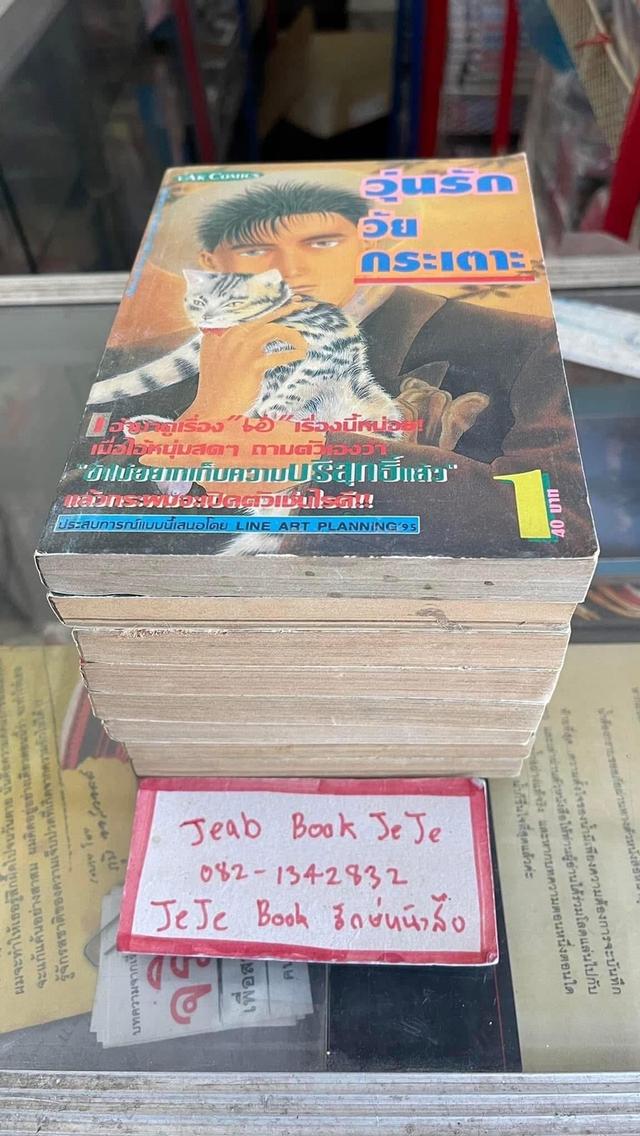 หนังสือการ์ตูน วุ่นรัก วัยกระเตาะ 1-8 จบ 8