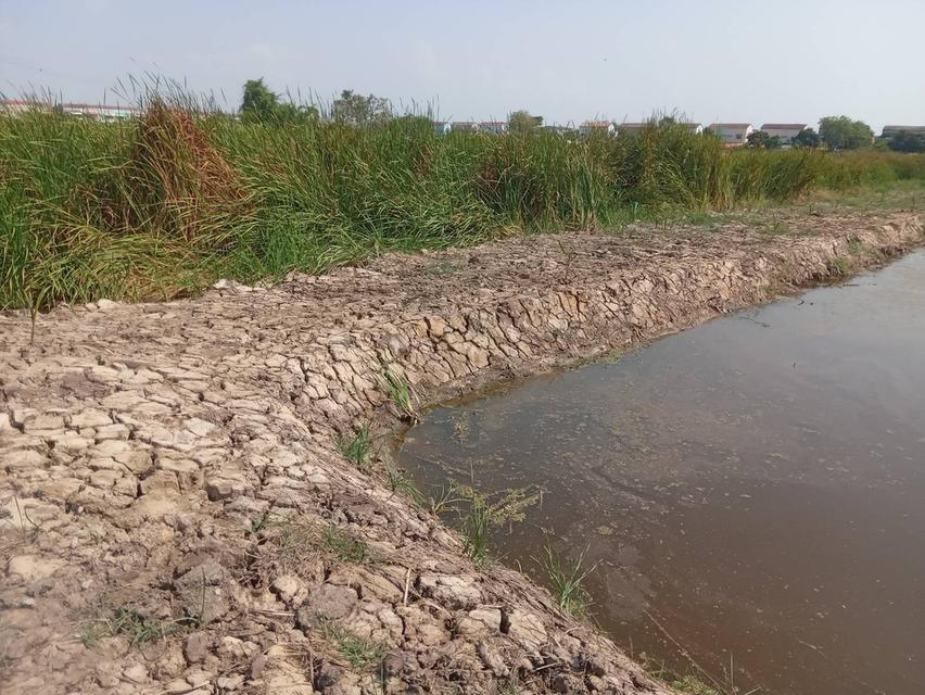 ขายที่ดินเปล่า 2 ไร่ ติดถนนคอนกรีต ซอยเทศบาลบางปู 83 6